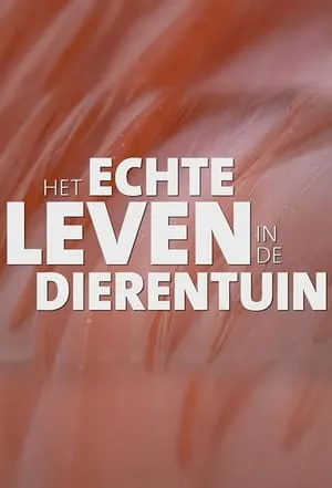 Carátula de Het echte leven in de dierentuin