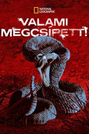 Carátula de I Was Bitten