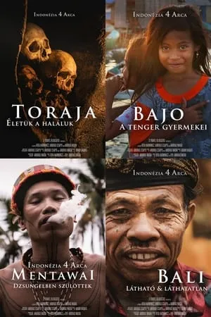 Carátula de Indonézia 4 arca