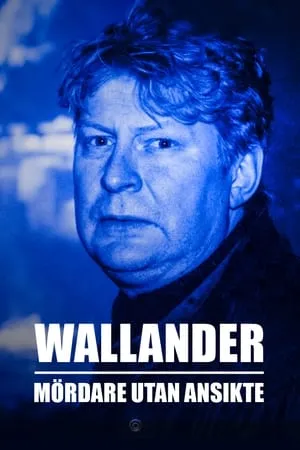 Carátula de Inspector Wallander: Asesino sin rostro