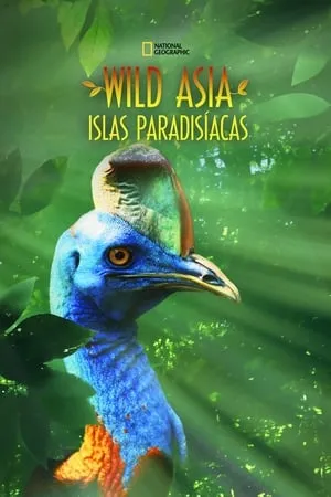 Carátula de Islas Paradisíacas