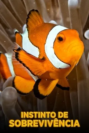 Carátula de La Carrera por la Vida