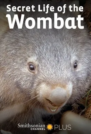 Carátula de La Vida Secreta de los Wombat