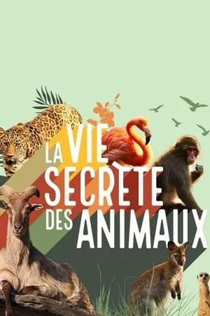 Carátula de La vie secrète des animaux