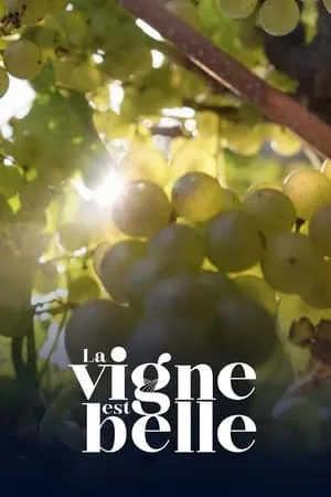 Carátula de La vigne est belle