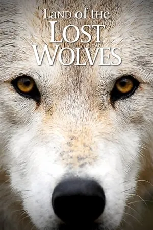 Carátula de Land of the Lost Wolves