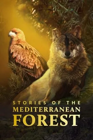 Carátula de Las historias del bosque mediterráneo