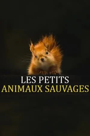 Carátula de Les Petits Animaux Sauvages