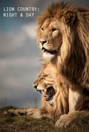 Carátula de Lion Country: Night and Day