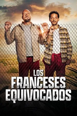 Carátula de Los amateurs