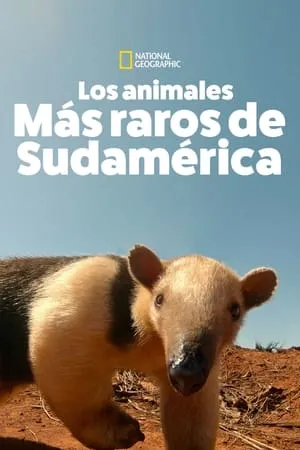 Carátula de Los Animales Más Raros de Sudamérica