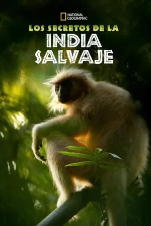 Carátula de Los secretos de la India salvaje