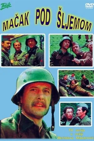 Carátula de Mačak pod šljemom