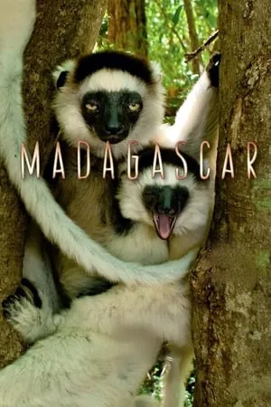 Carátula de Madagascar