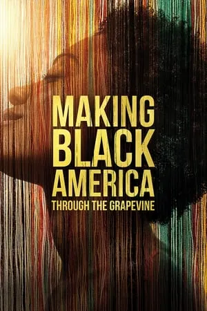 Carátula de Making Black America