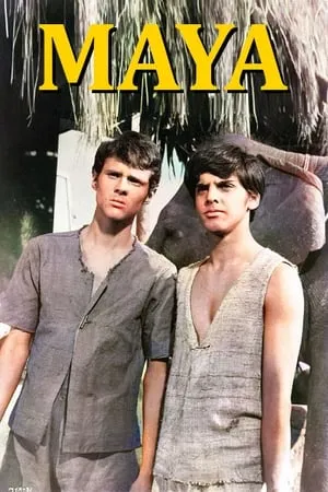Carátula de Maya
