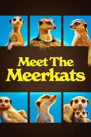 Carátula de Meet The Meerkats