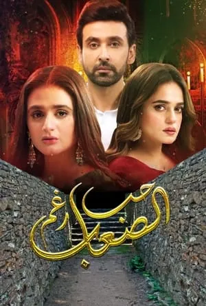 Carátula de mein hari piya