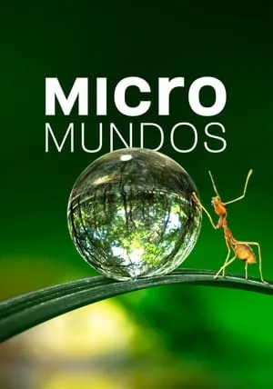 Carátula de Micromundos