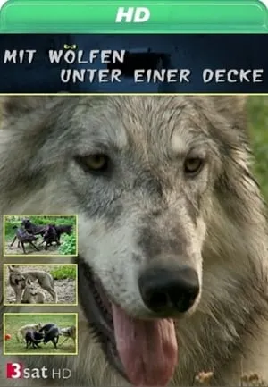 Carátula de Mit Wölfen unter einer Decke