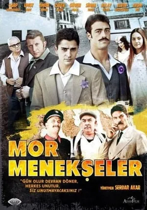 Carátula de Mor Menekşeler