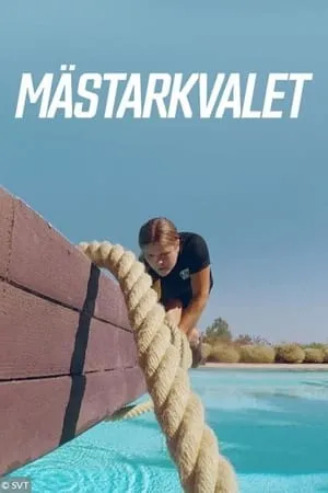 Carátula de Mästarkvalet