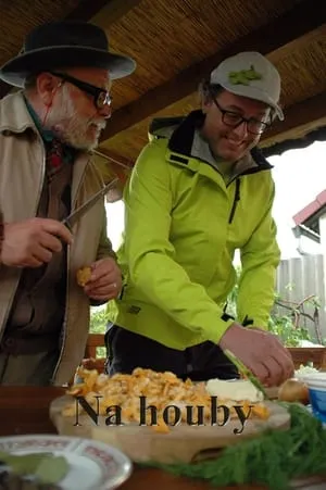 Carátula de Na houby