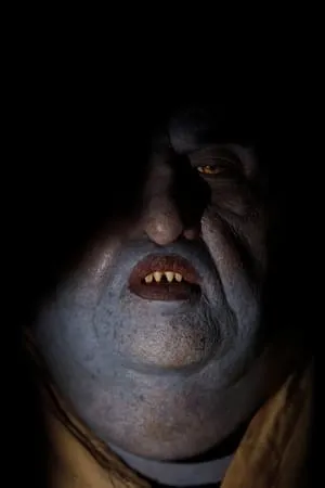 Carátula de Night Bloomers