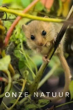 Carátula de Onze natuur