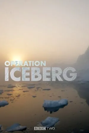 Carátula de Operation Iceberg