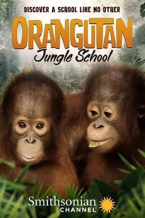 Carátula de Orangutan Jungle School