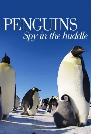 Carátula de Penguins: Spy in the Huddle