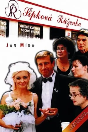 Carátula de Šípková Růženka
