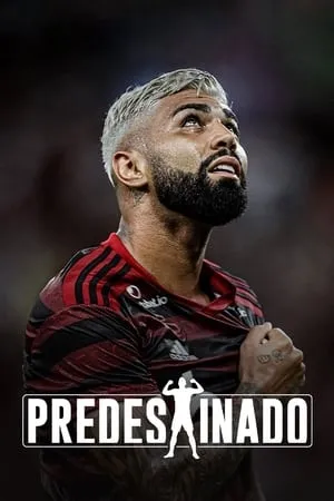 Carátula de Predestinado