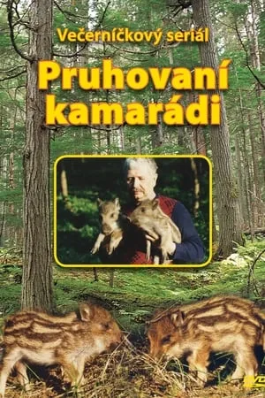 Carátula de Pruhovaní kamarádi