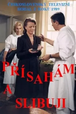 Carátula de Přísahám a slibuji