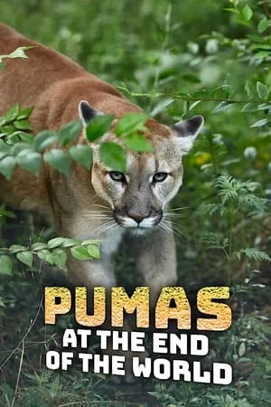 Carátula de Pumas At The End of The World