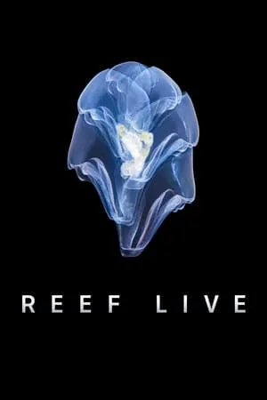 Carátula de Reef Live
