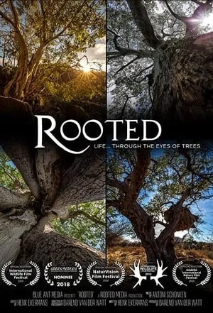 Carátula de Rooted