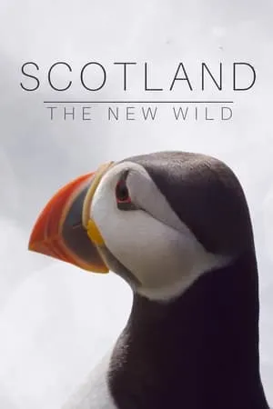 Carátula de Scotland: The New Wild