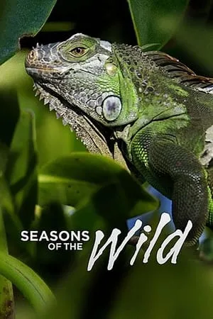 Carátula de Seasons of the Wild