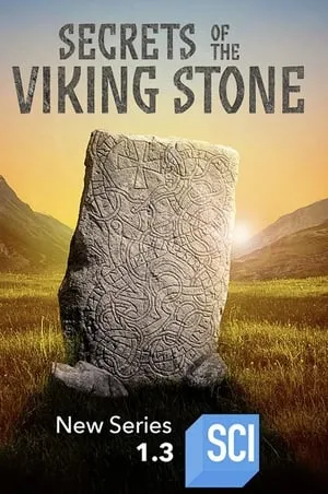 Carátula de Secrets of the Viking Stone
