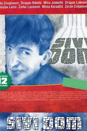 Carátula de Sivi dom