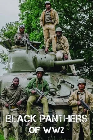 Carátula de The Black Panthers of WW2