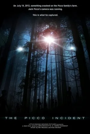 Carátula de The Picco Incident