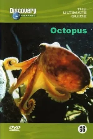 Carátula de The Ultimate Guide