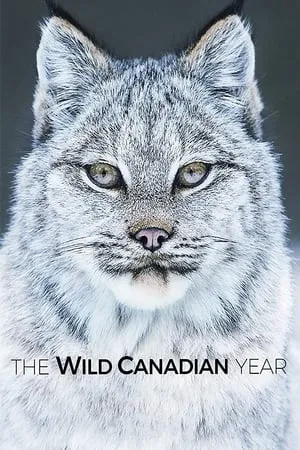 Carátula de The Wild Canadian Year