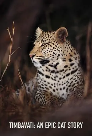 Carátula de Timbavati: An Epic Cat Story