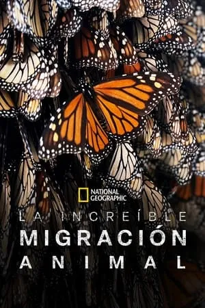 Carátula de La increíble migración animal