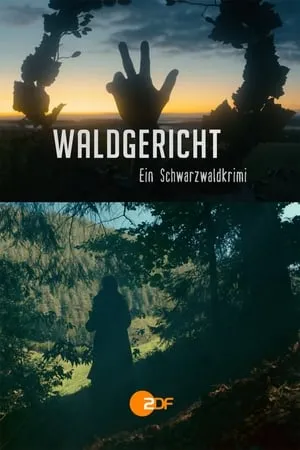 Carátula de Waldgericht - Ein Schwarzwaldkrimi